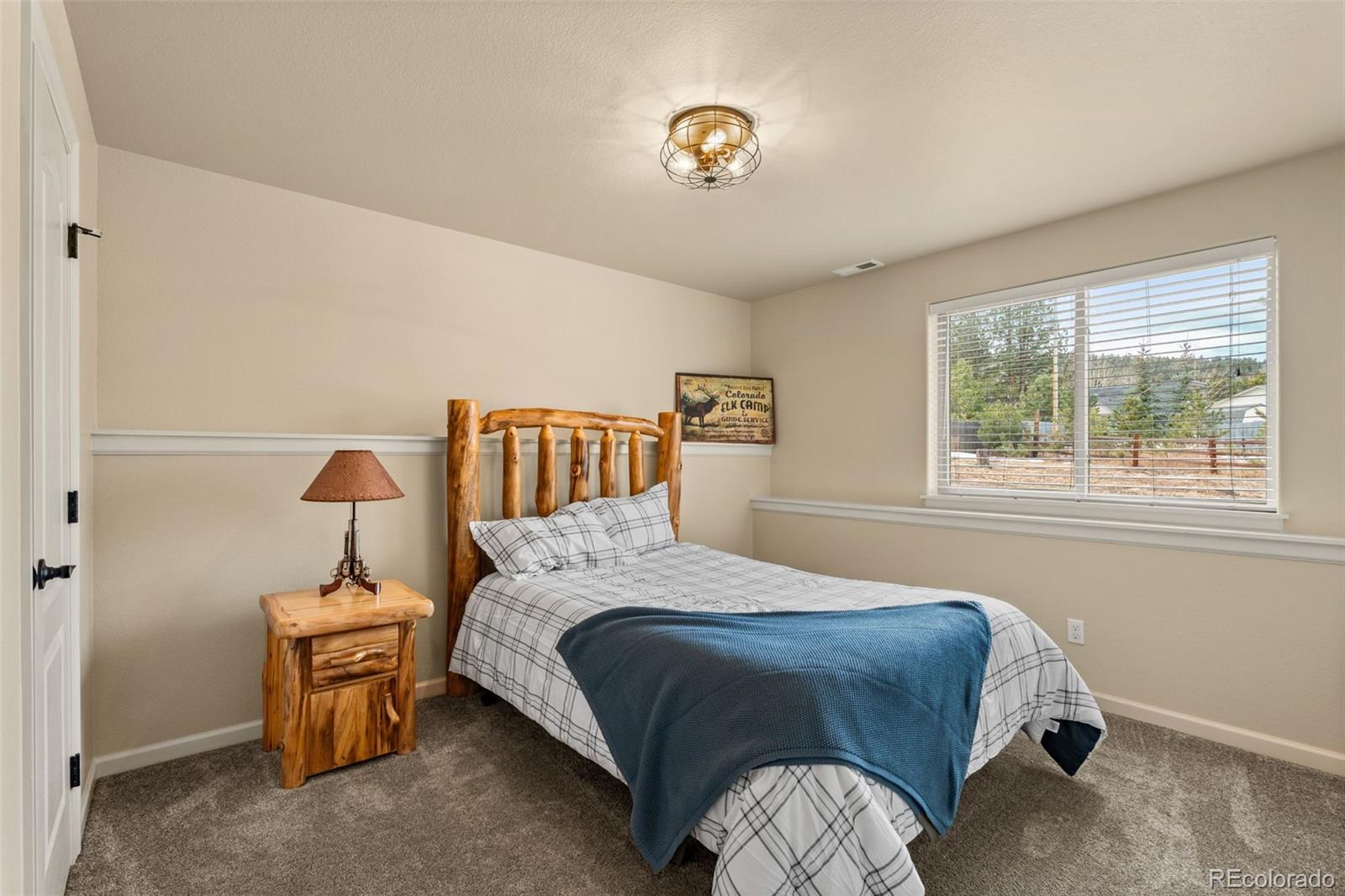 MLS Image #29 for 1169  ptarmigan drive,woodland park, Colorado