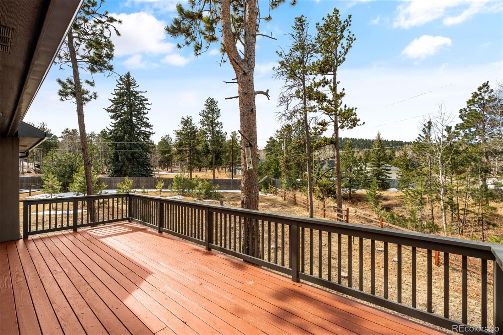 MLS Image #41 for 1169  ptarmigan drive,woodland park, Colorado