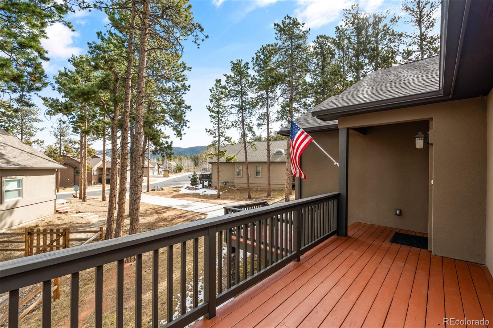 MLS Image #6 for 1169  ptarmigan drive,woodland park, Colorado
