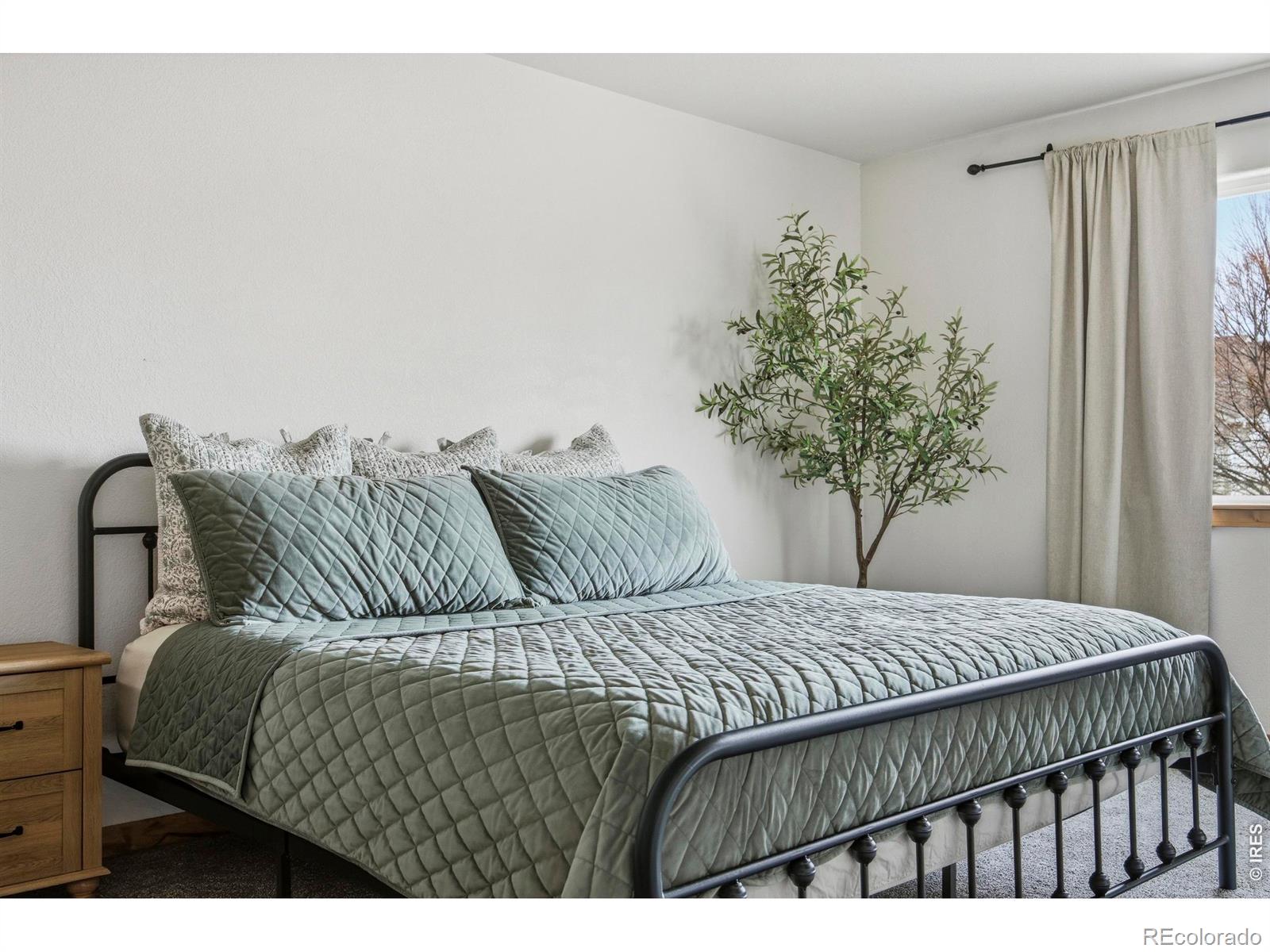 MLS Image #22 for 414  prairie clover way,severance, Colorado