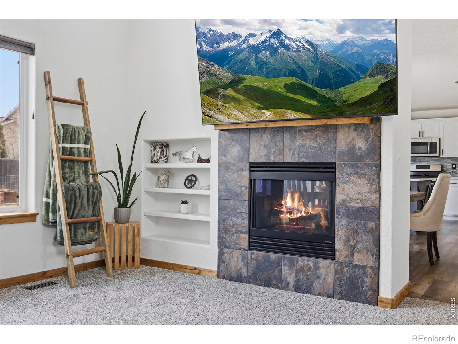 MLS Image #6 for 414  prairie clover way,severance, Colorado