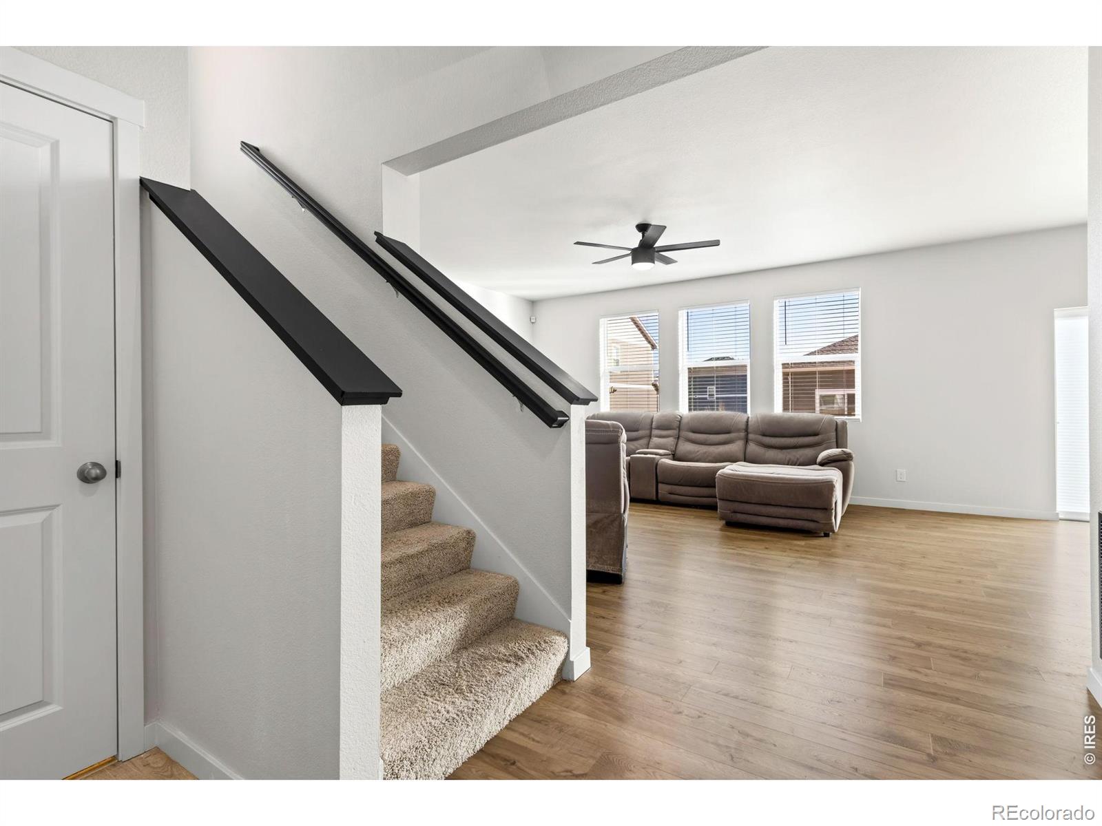 MLS Image #23 for 3657  speedwell street,wellington, Colorado