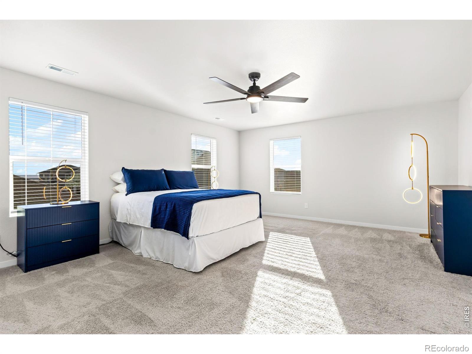 MLS Image #26 for 3657  speedwell street,wellington, Colorado