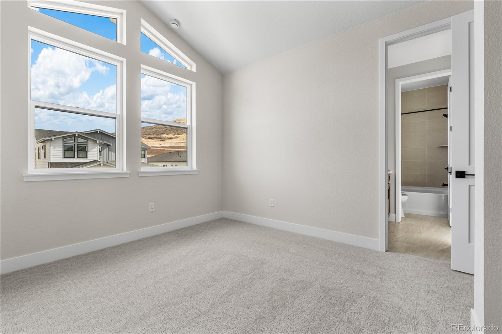 MLS Image #12 for 11133  tenor trail,lone tree, Colorado