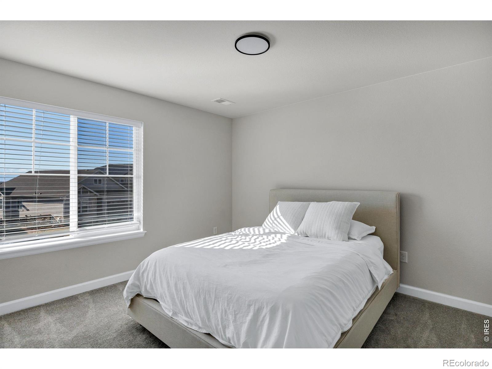 MLS Image #24 for 723  alpine ridge street,erie, Colorado