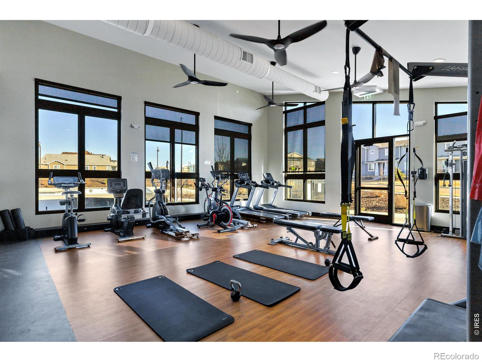 MLS Image #49 for 723  alpine ridge street,erie, Colorado