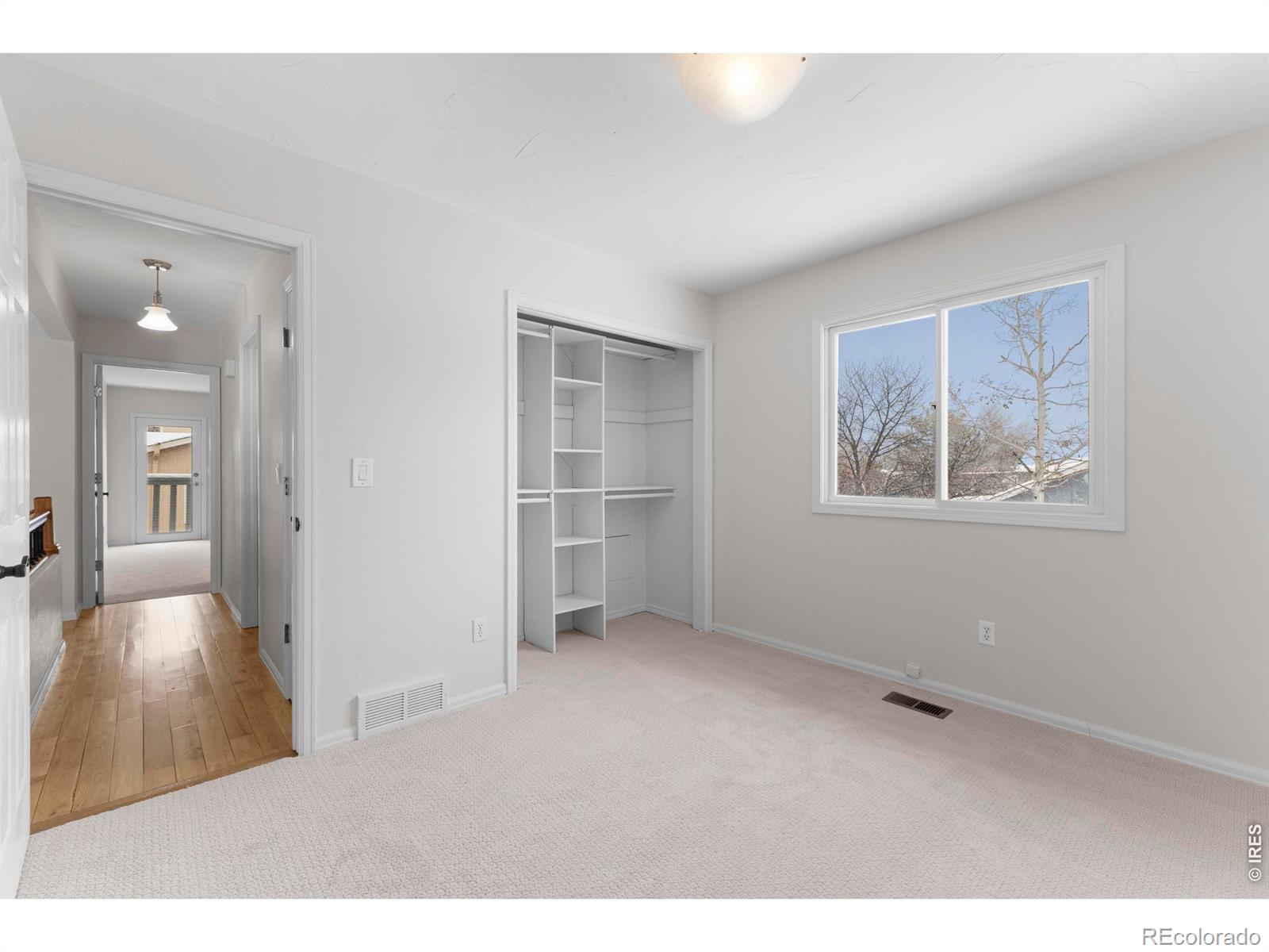 MLS Image #18 for 2802  pampas court,fort collins, Colorado