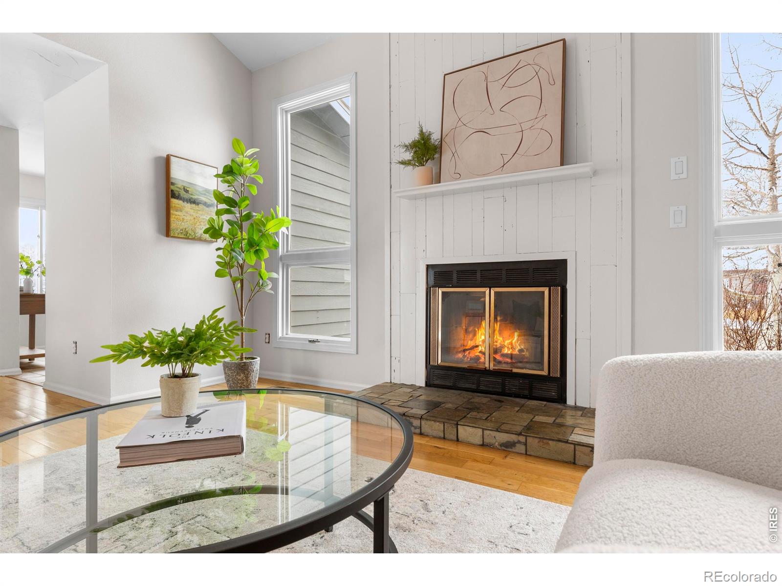 MLS Image #7 for 2802  pampas court,fort collins, Colorado
