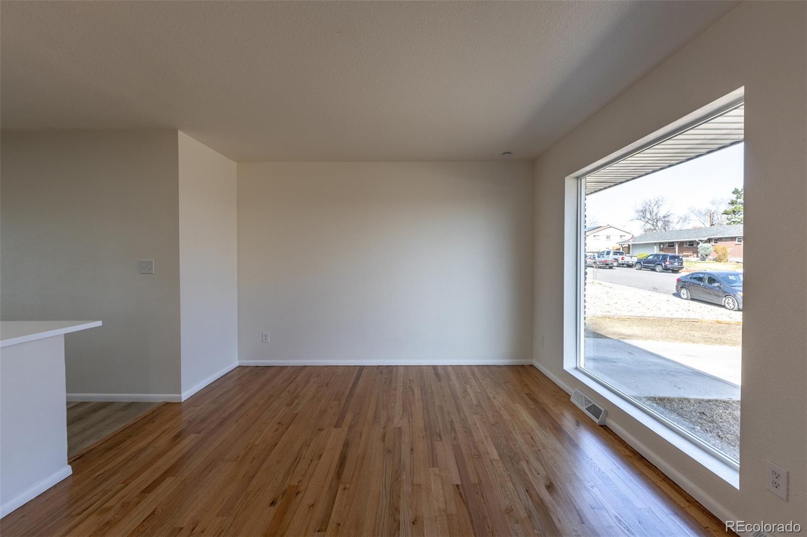 MLS Image #8 for 20 w marigold drive,denver, Colorado