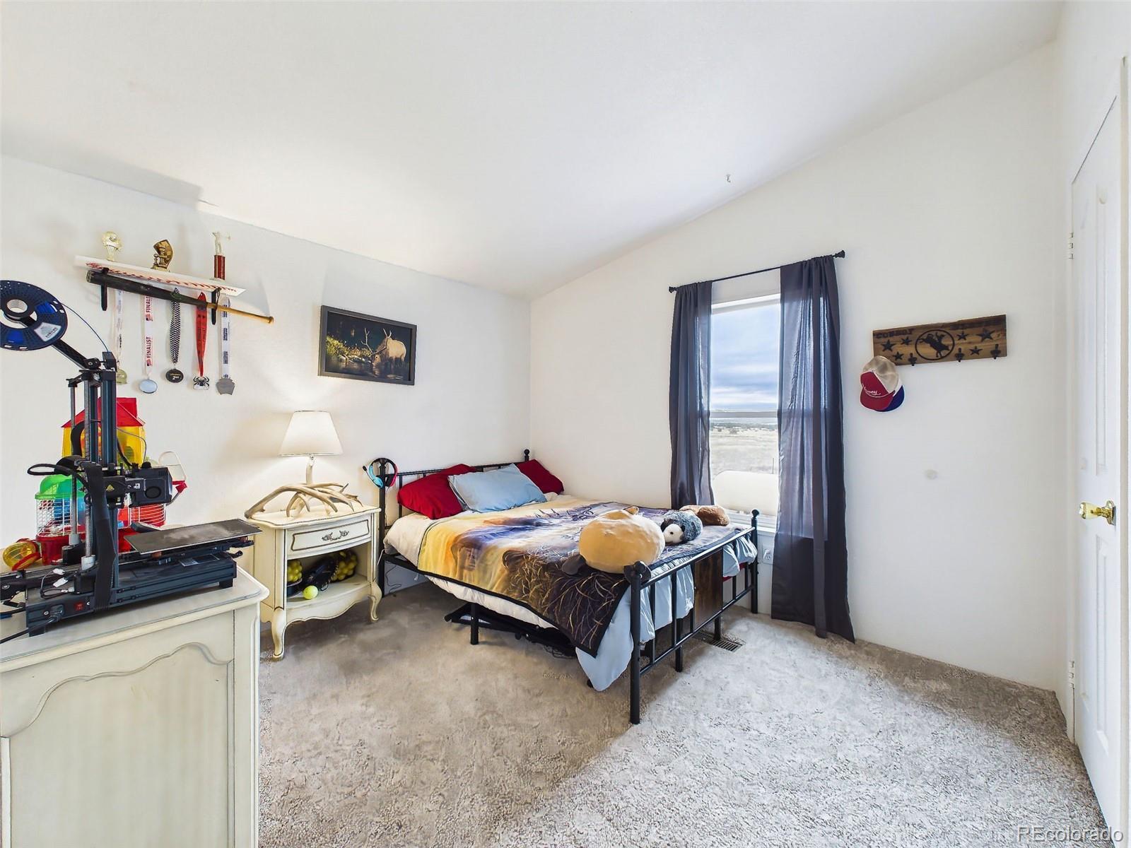 MLS Image #27 for 699  cedar hills road,penrose, Colorado