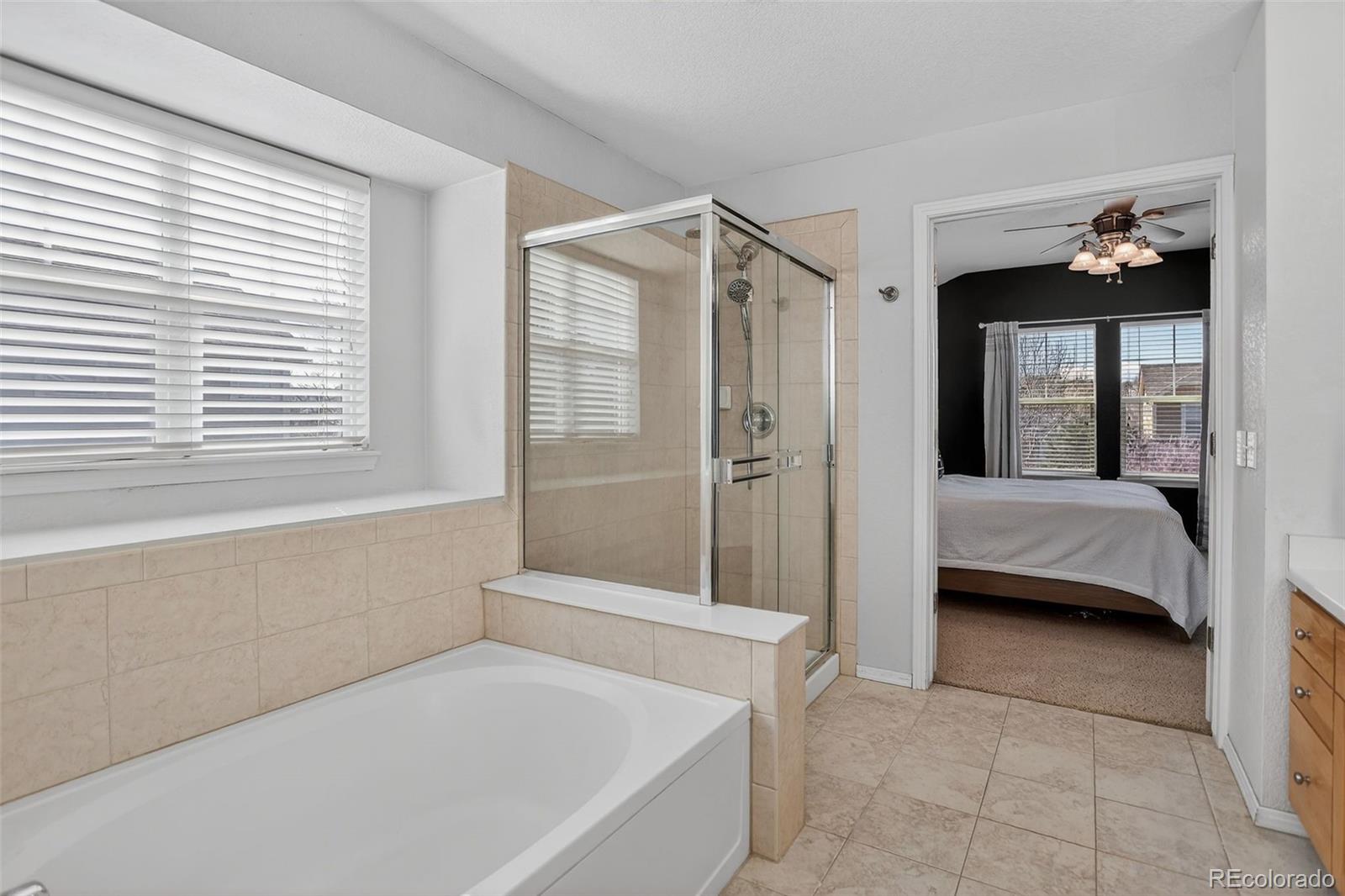 MLS Image #24 for 4731  sunridge terrace drive,castle rock, Colorado