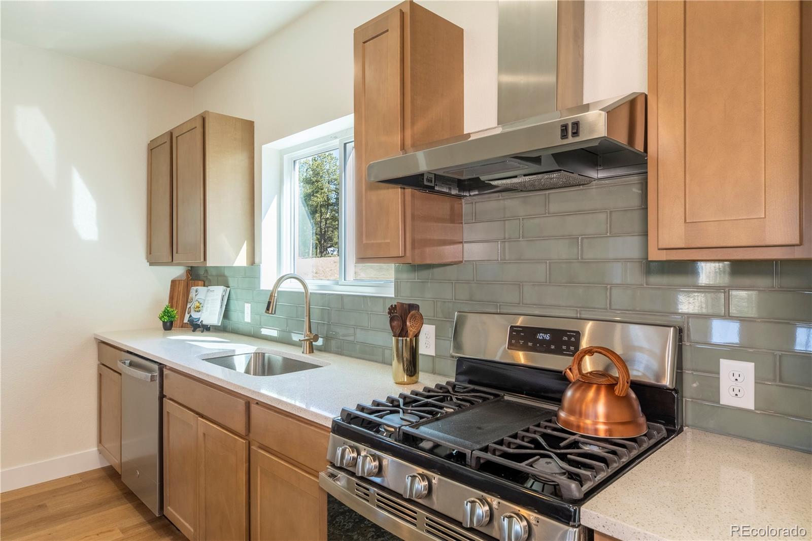 MLS Image #11 for 484  due south road,florissant, Colorado