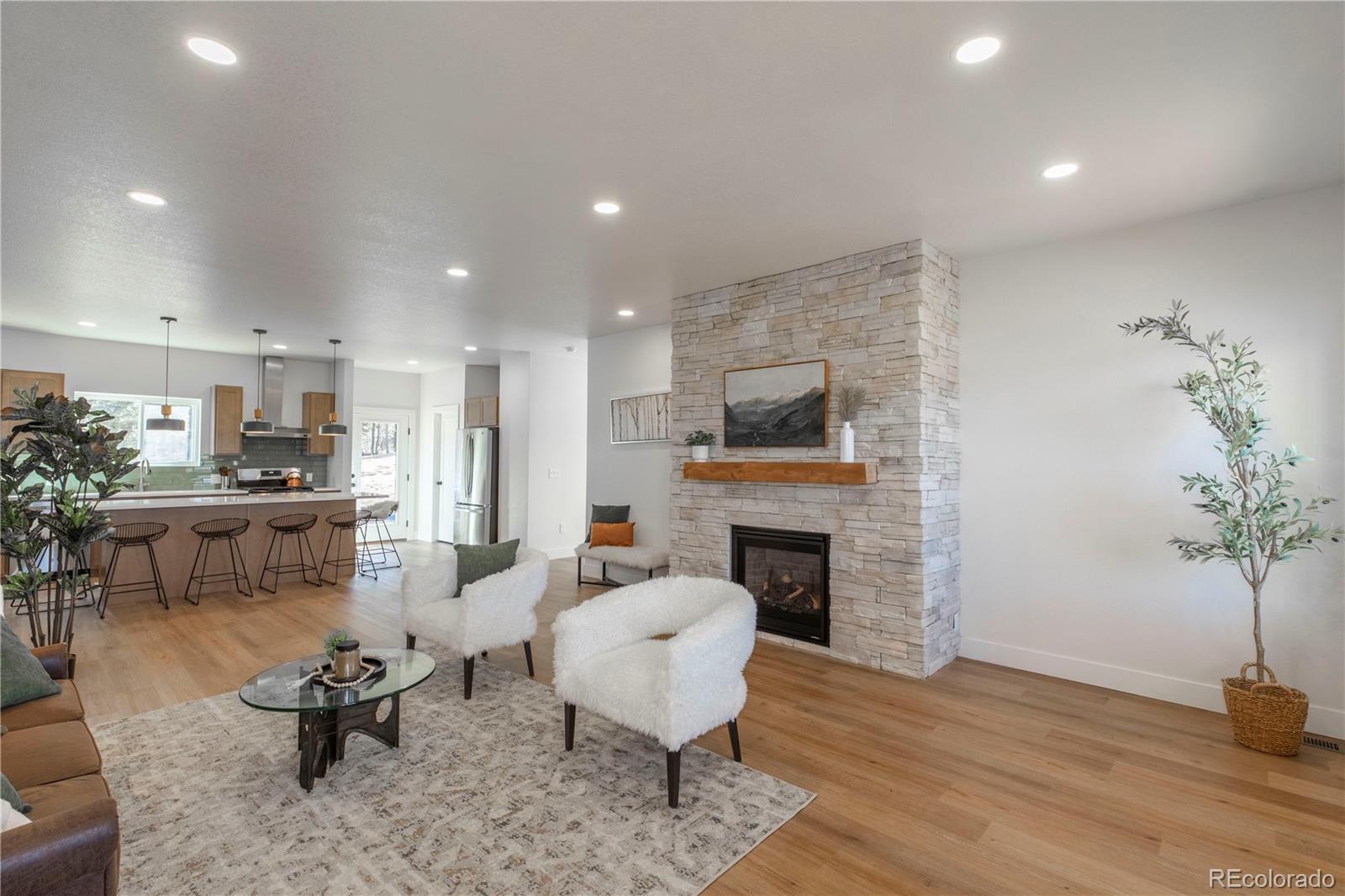 MLS Image #3 for 484  due south road,florissant, Colorado