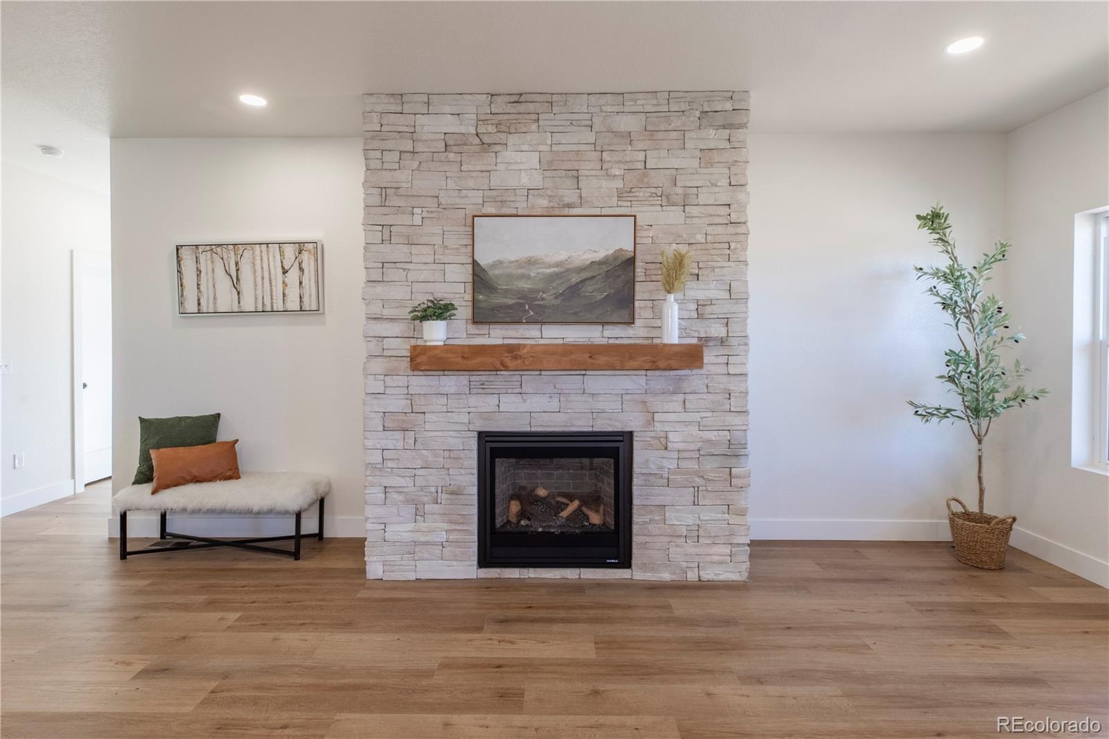 MLS Image #5 for 484  due south road,florissant, Colorado