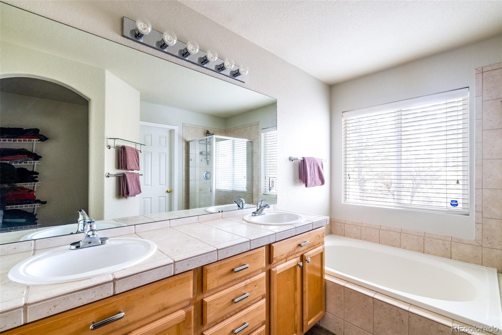 MLS Image #17 for 2454 s scranton way,aurora, Colorado