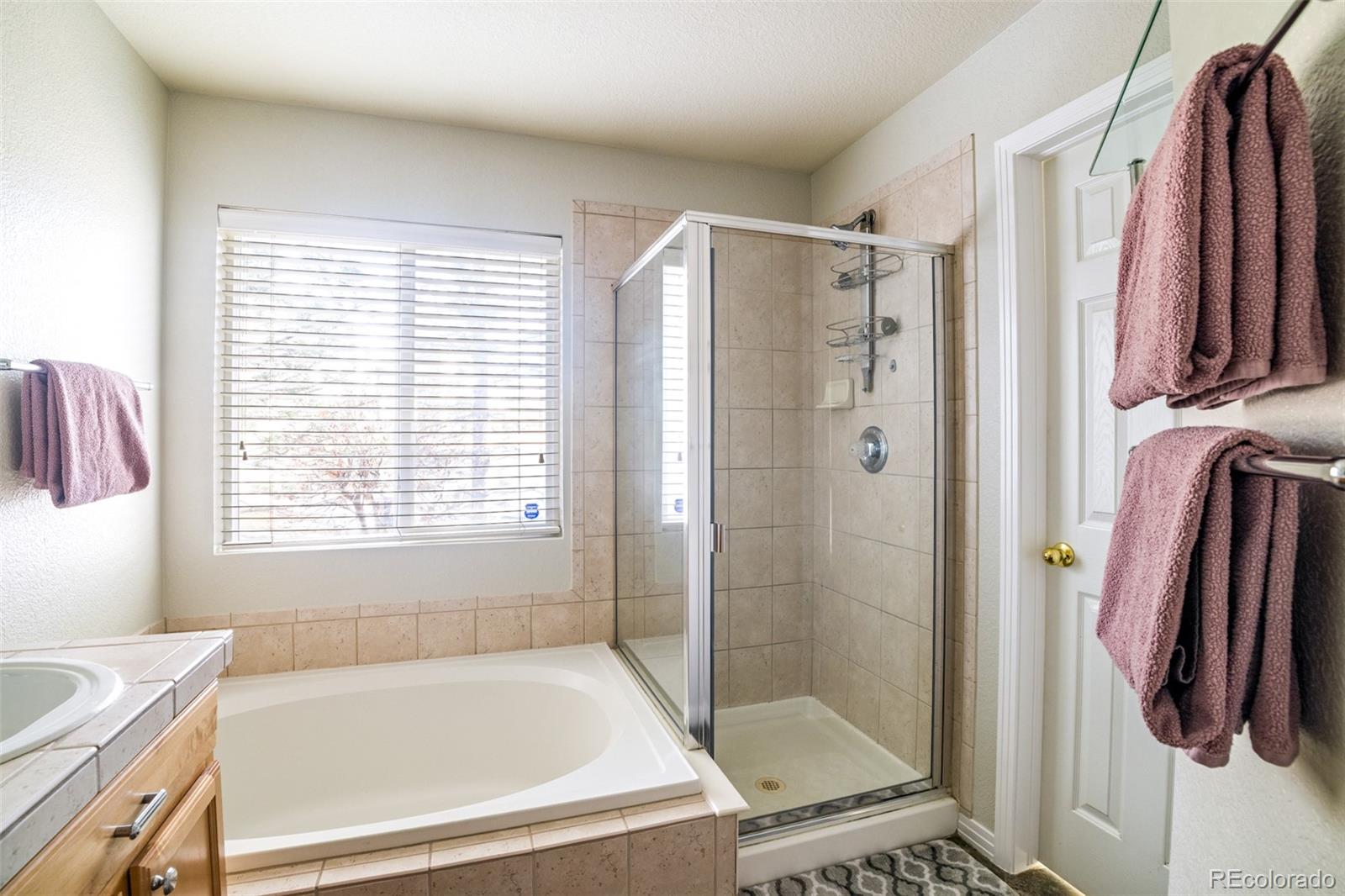 MLS Image #18 for 2454 s scranton way,aurora, Colorado