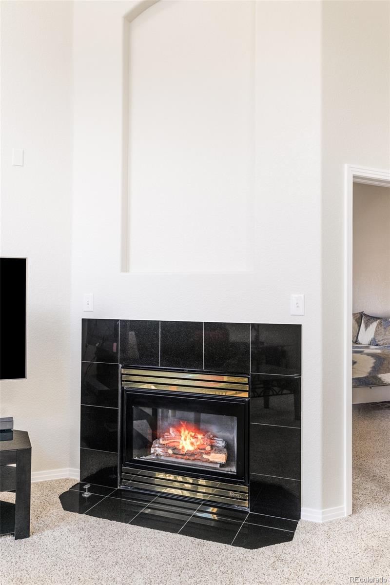 MLS Image #6 for 2454 s scranton way,aurora, Colorado
