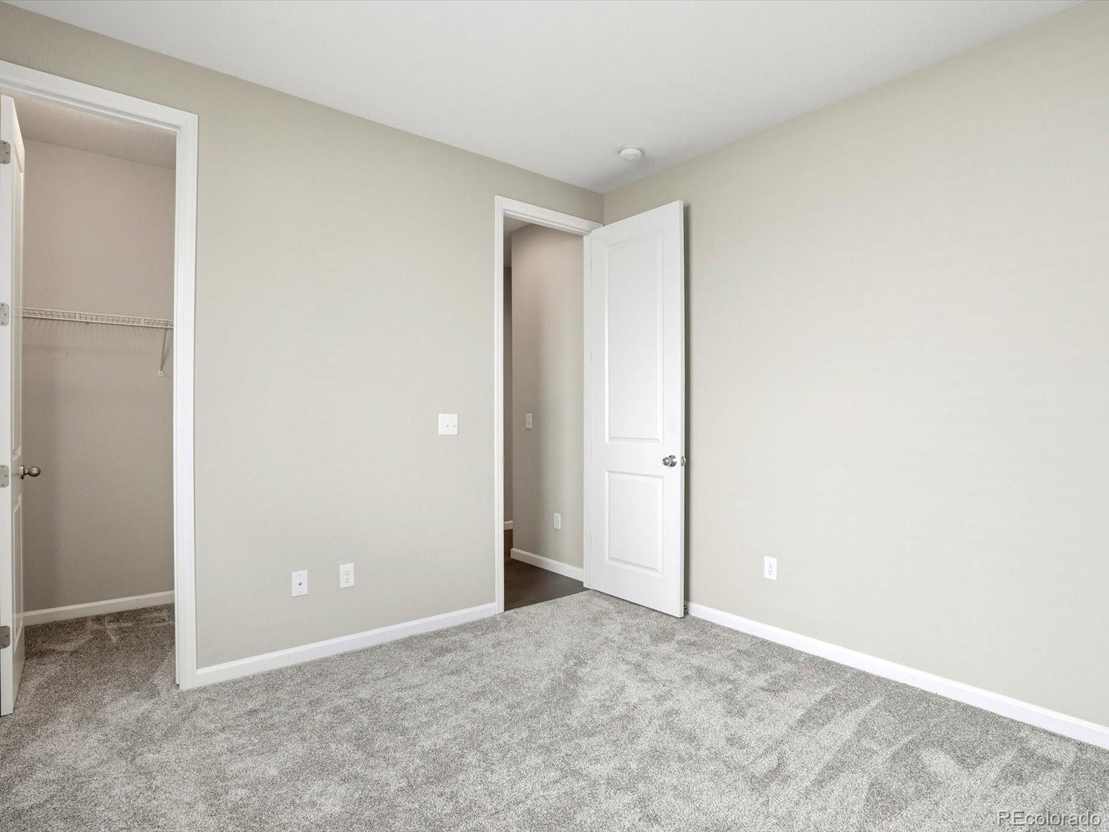 MLS Image #23 for 6695  petunia place,castle rock, Colorado