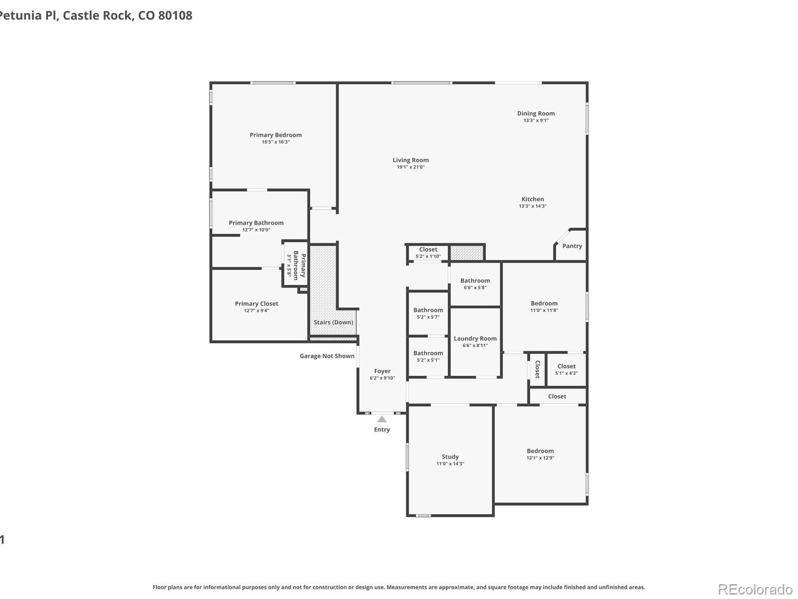 MLS Image #47 for 6695  petunia place,castle rock, Colorado
