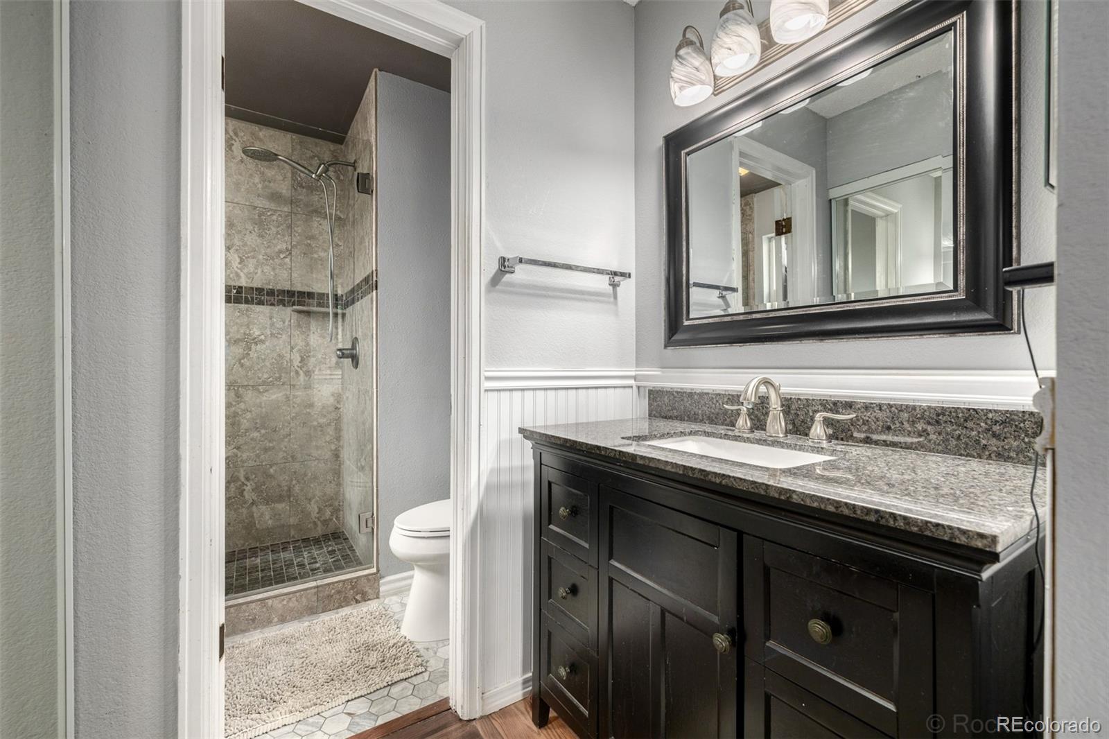 MLS Image #17 for 395  mountain cloud circle,highlands ranch, Colorado