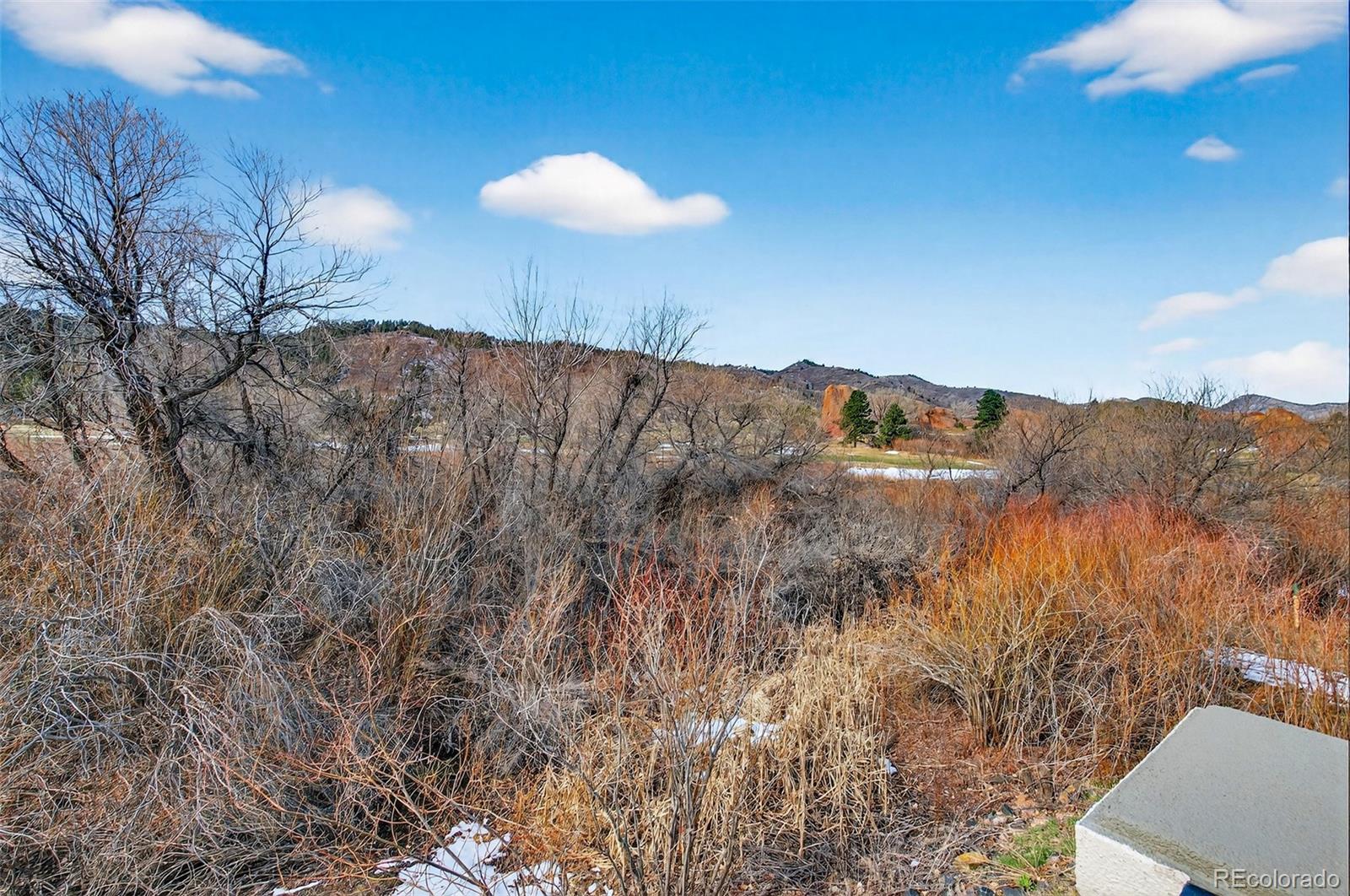 MLS Image #4 for 6685  bright water trail,littleton, Colorado