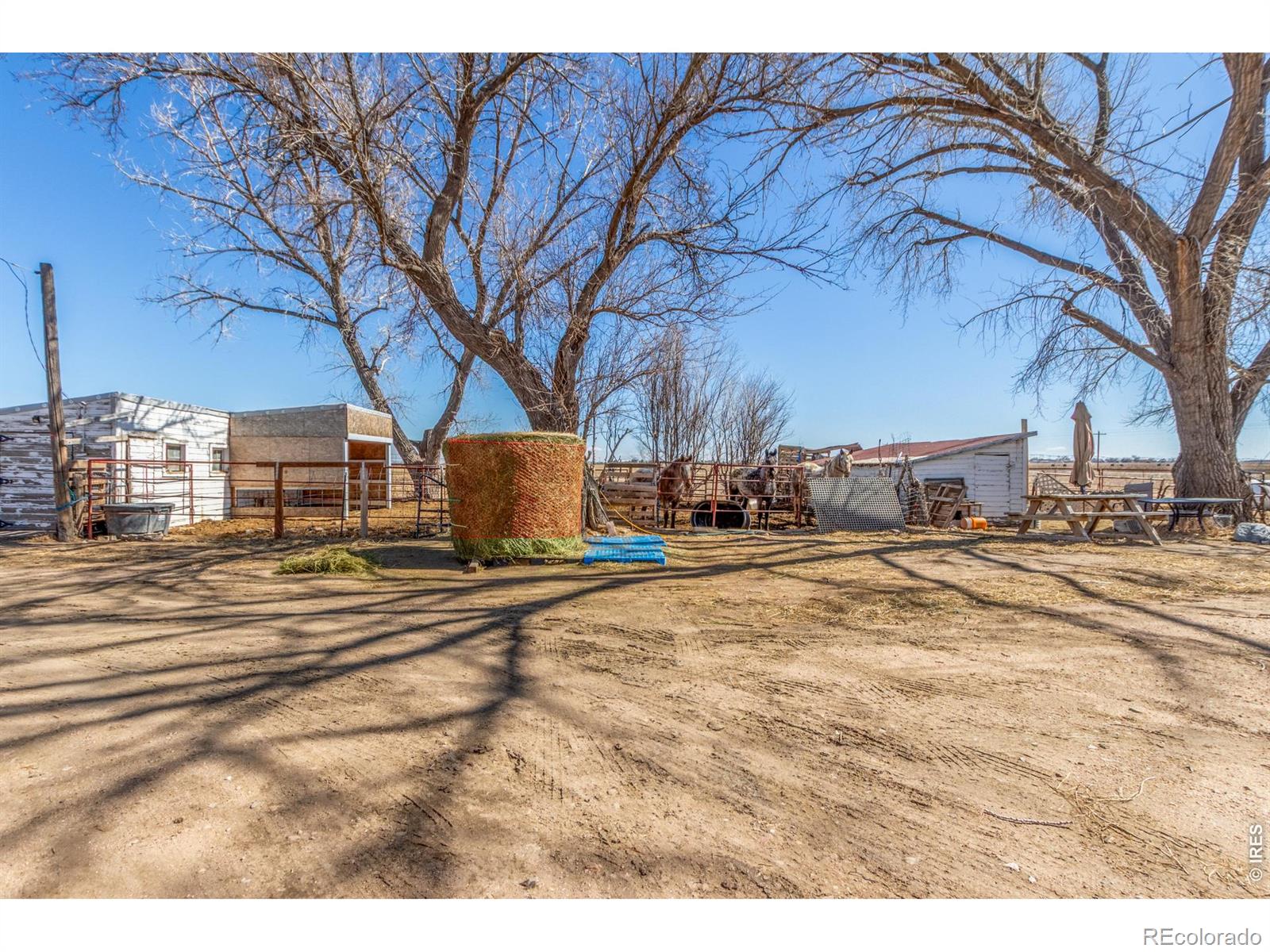 MLS Image #29 for 16524  county road 3 ,wiggins, Colorado
