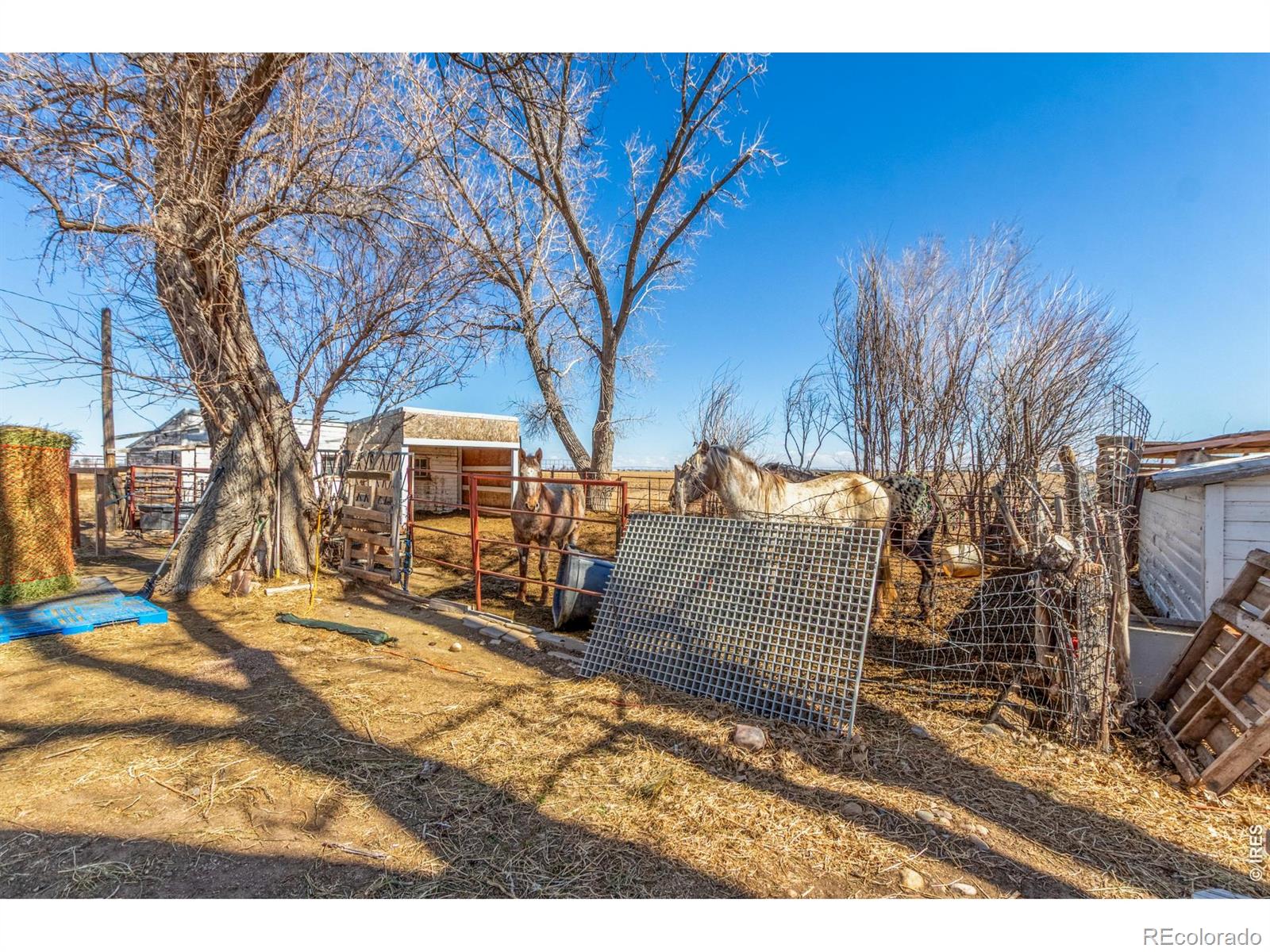 MLS Image #30 for 16524  county road 3 ,wiggins, Colorado