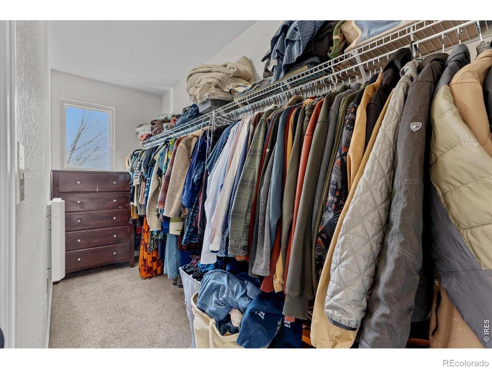 MLS Image #32 for 10596  forester place,longmont, Colorado