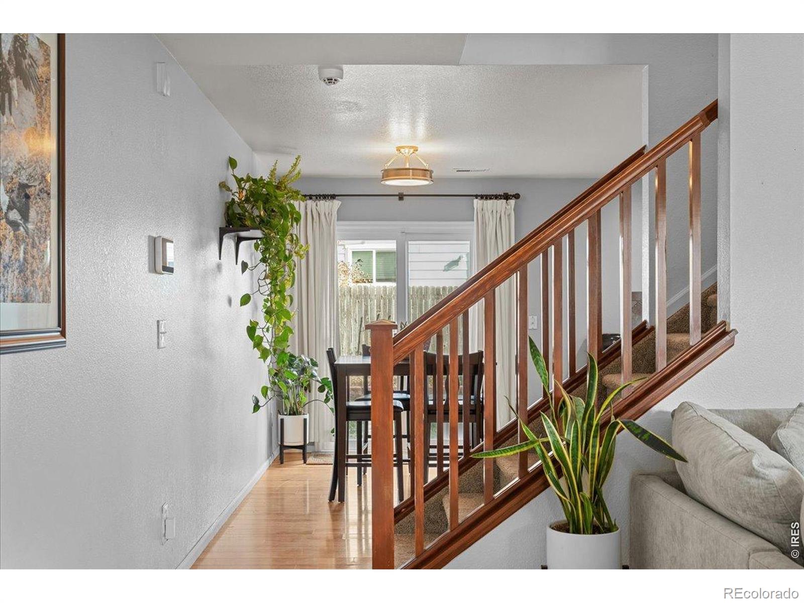 MLS Image #7 for 10596  forester place,longmont, Colorado