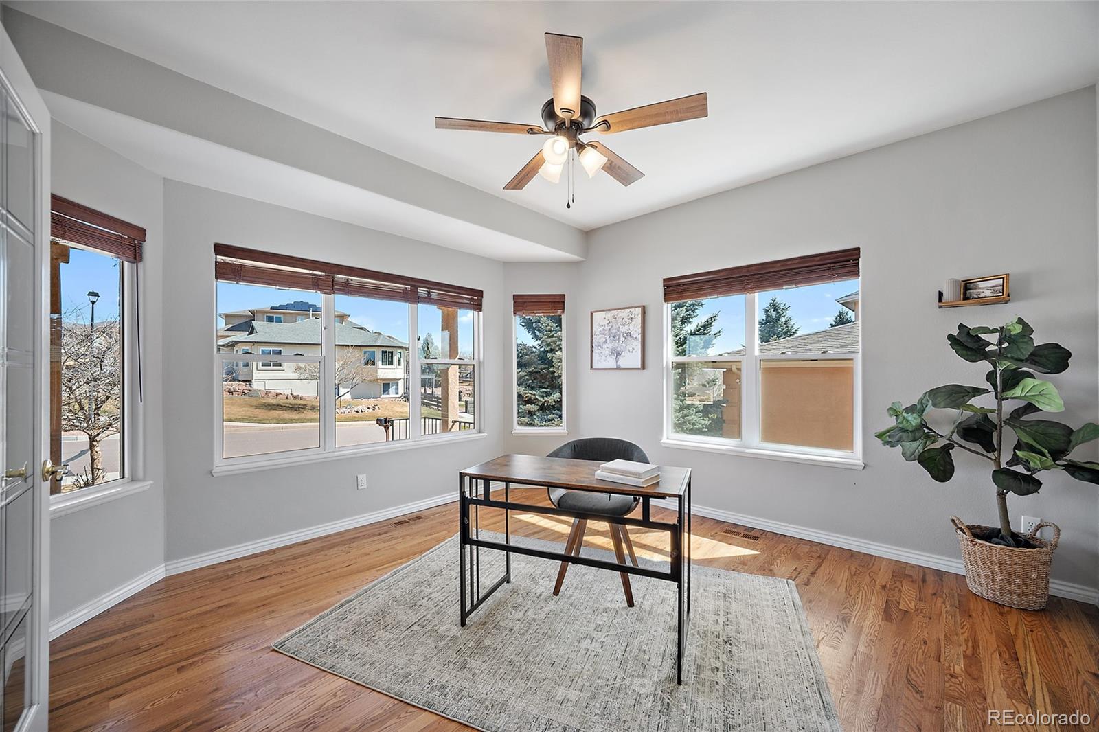 MLS Image #20 for 12328  mount baldy drive,colorado springs, Colorado