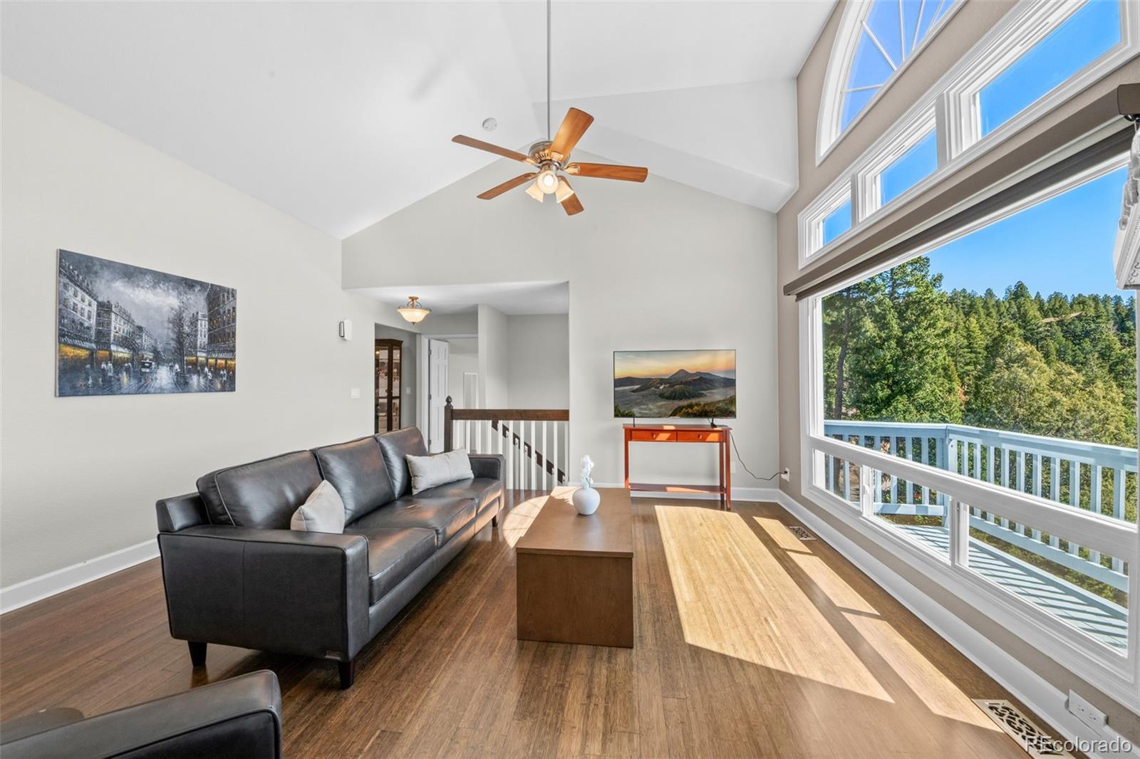 MLS Image #6 for 33633  elk run,evergreen, Colorado
