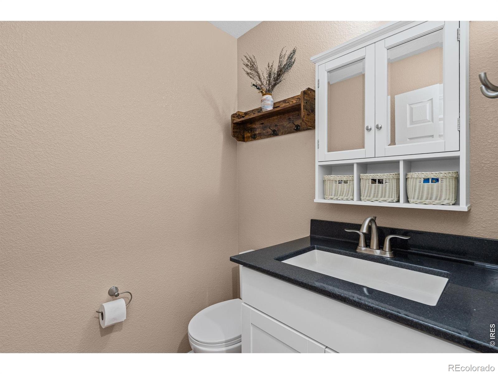 MLS Image #16 for 3396  leopard place,loveland, Colorado