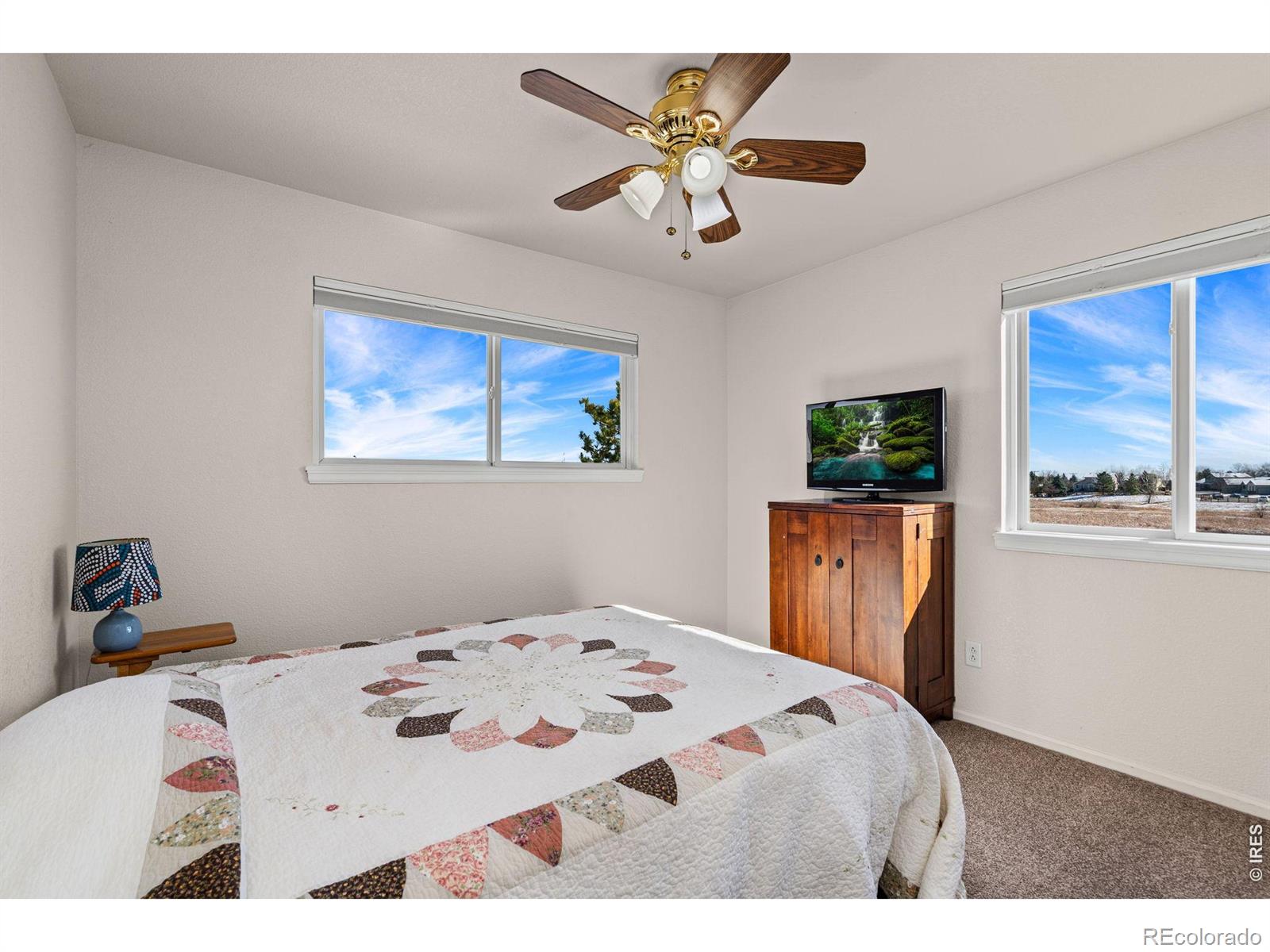 MLS Image #25 for 3396  leopard place,loveland, Colorado