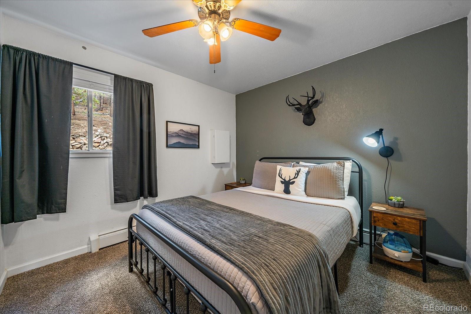 MLS Image #10 for 136  nebraska drive,idaho springs, Colorado