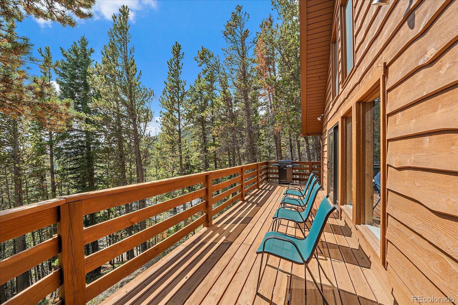 MLS Image #24 for 136  nebraska drive,idaho springs, Colorado