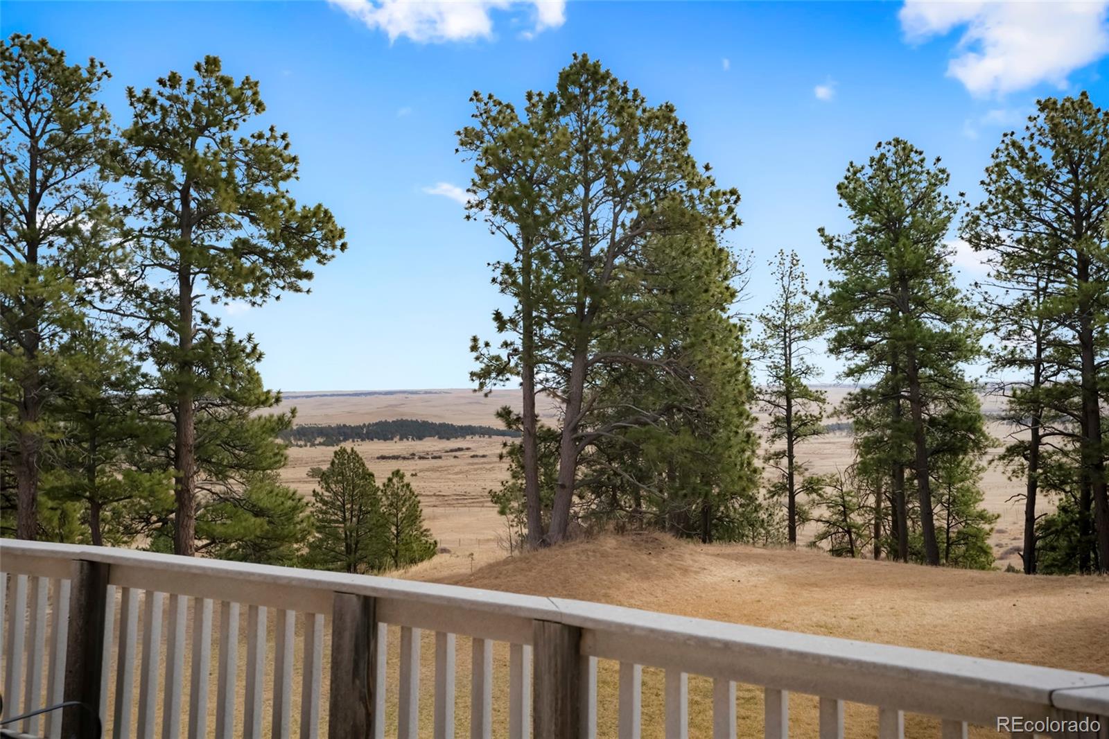MLS Image #4 for 15550  highway 86 ,kiowa, Colorado