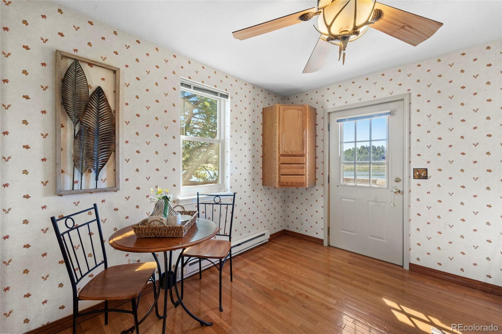 MLS Image #10 for 671  midland court,lake george, Colorado