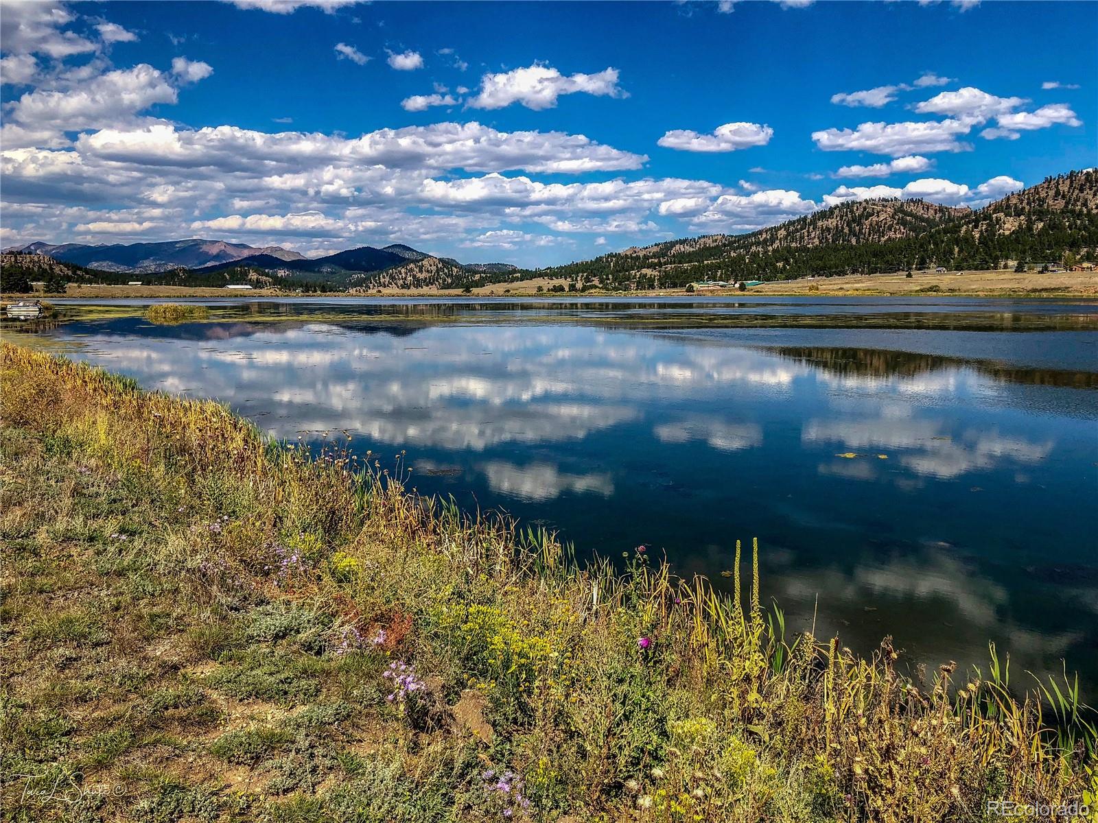 MLS Image #11 for 671  midland court,lake george, Colorado