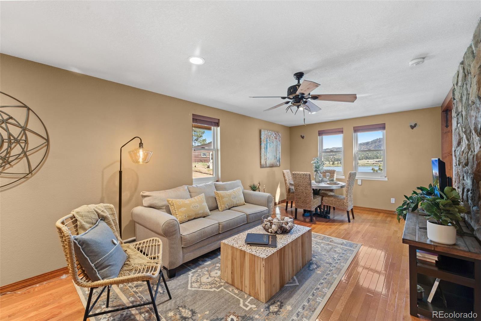 MLS Image #17 for 671  midland court,lake george, Colorado