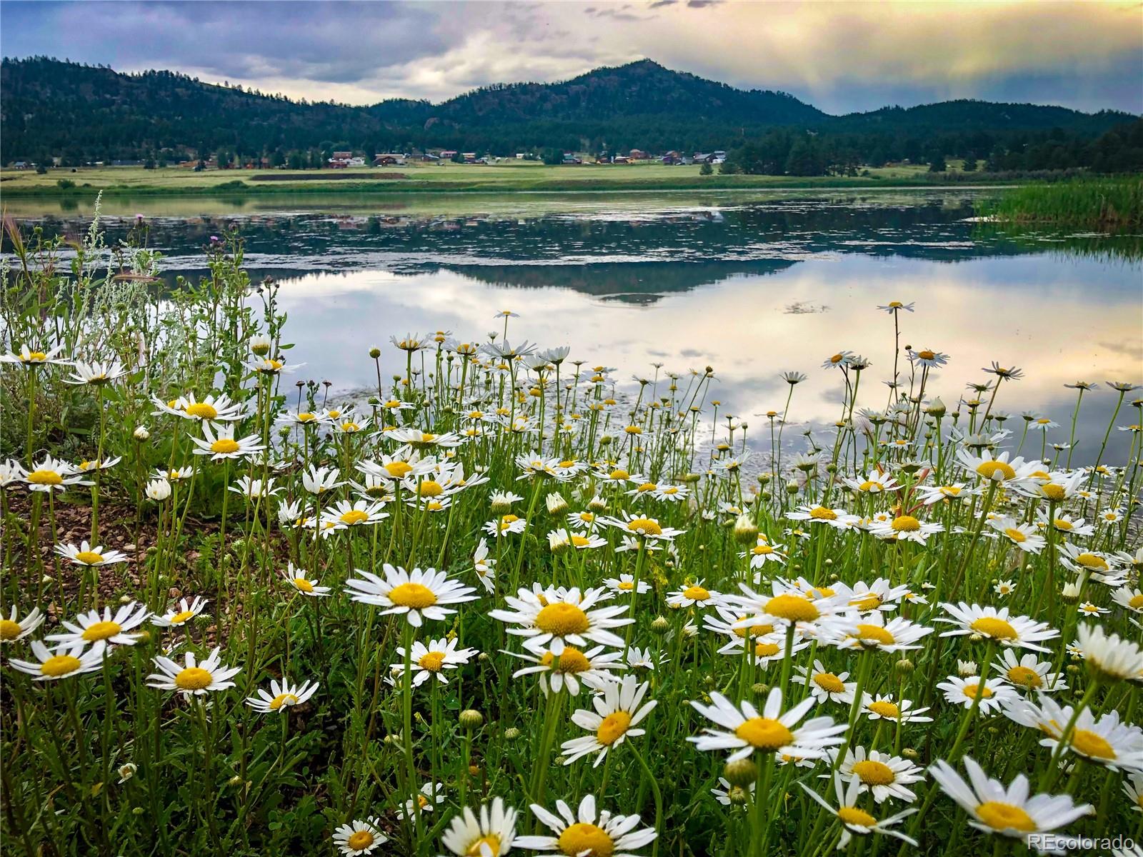 MLS Image #19 for 671  midland court,lake george, Colorado