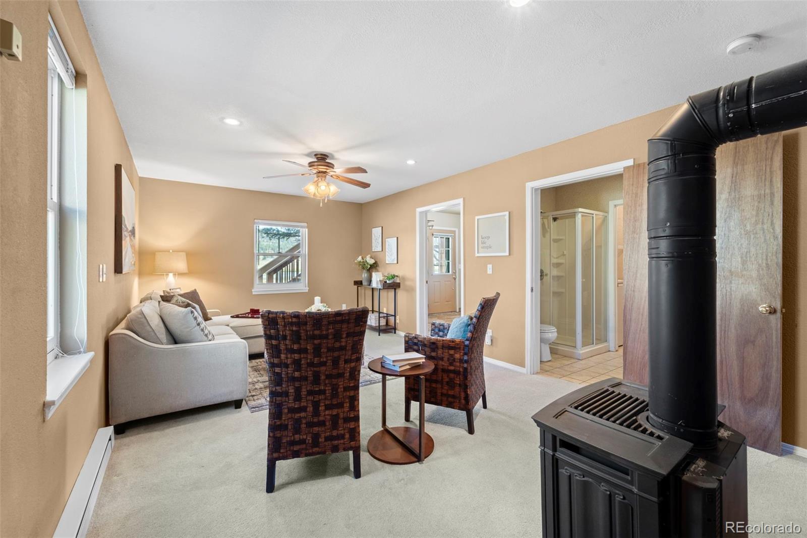 MLS Image #26 for 671  midland court,lake george, Colorado