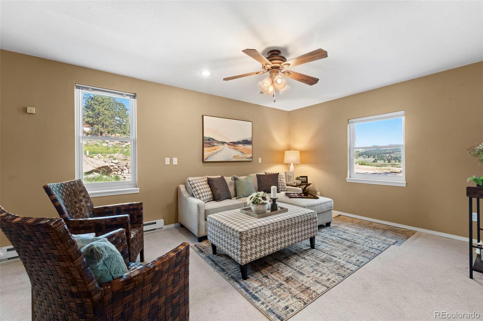 MLS Image #29 for 671  midland court,lake george, Colorado