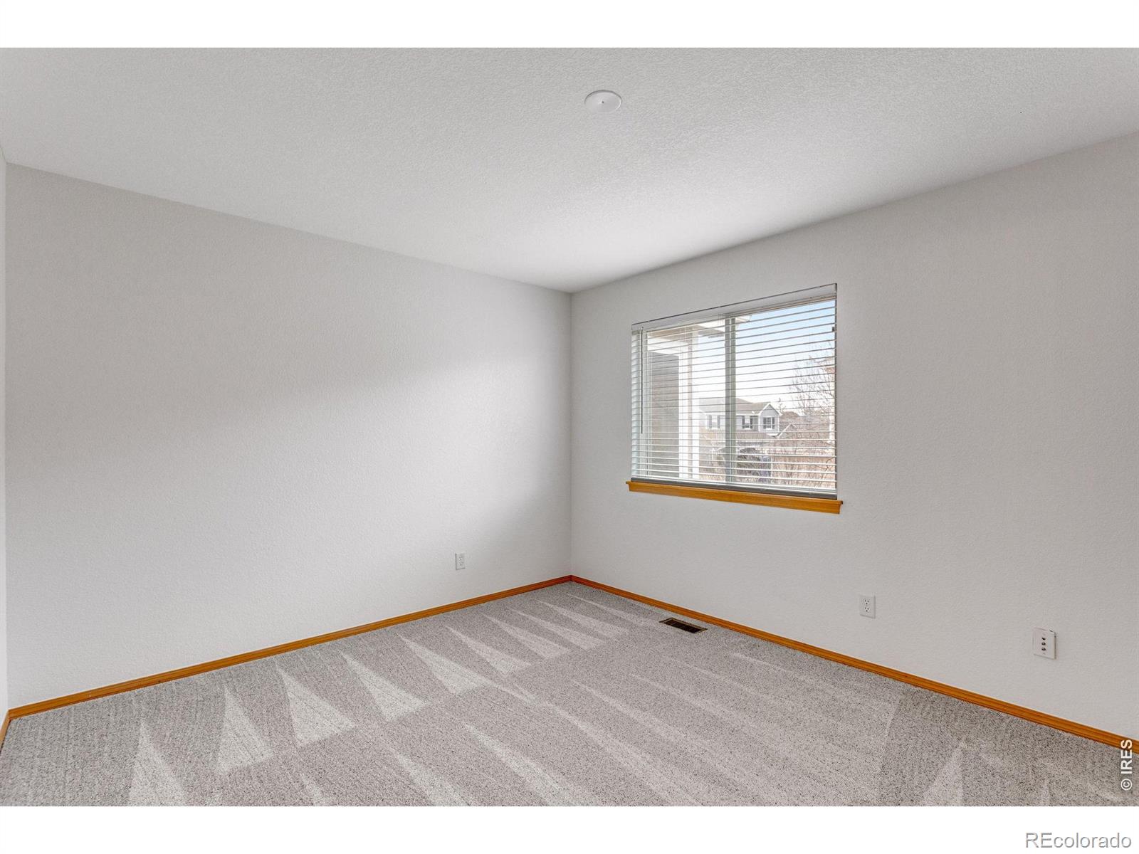 MLS Image #26 for 3204  crowley circle,loveland, Colorado