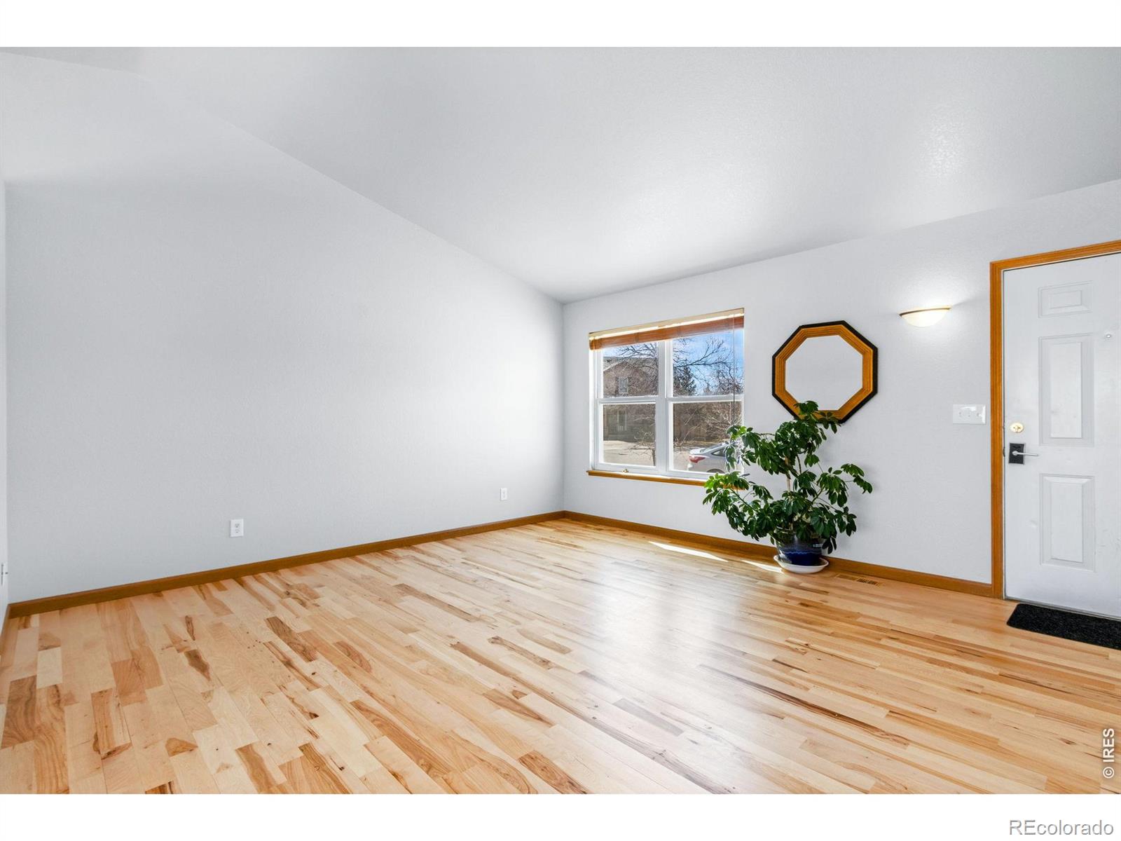 MLS Image #6 for 1414  cranberry court,fort collins, Colorado