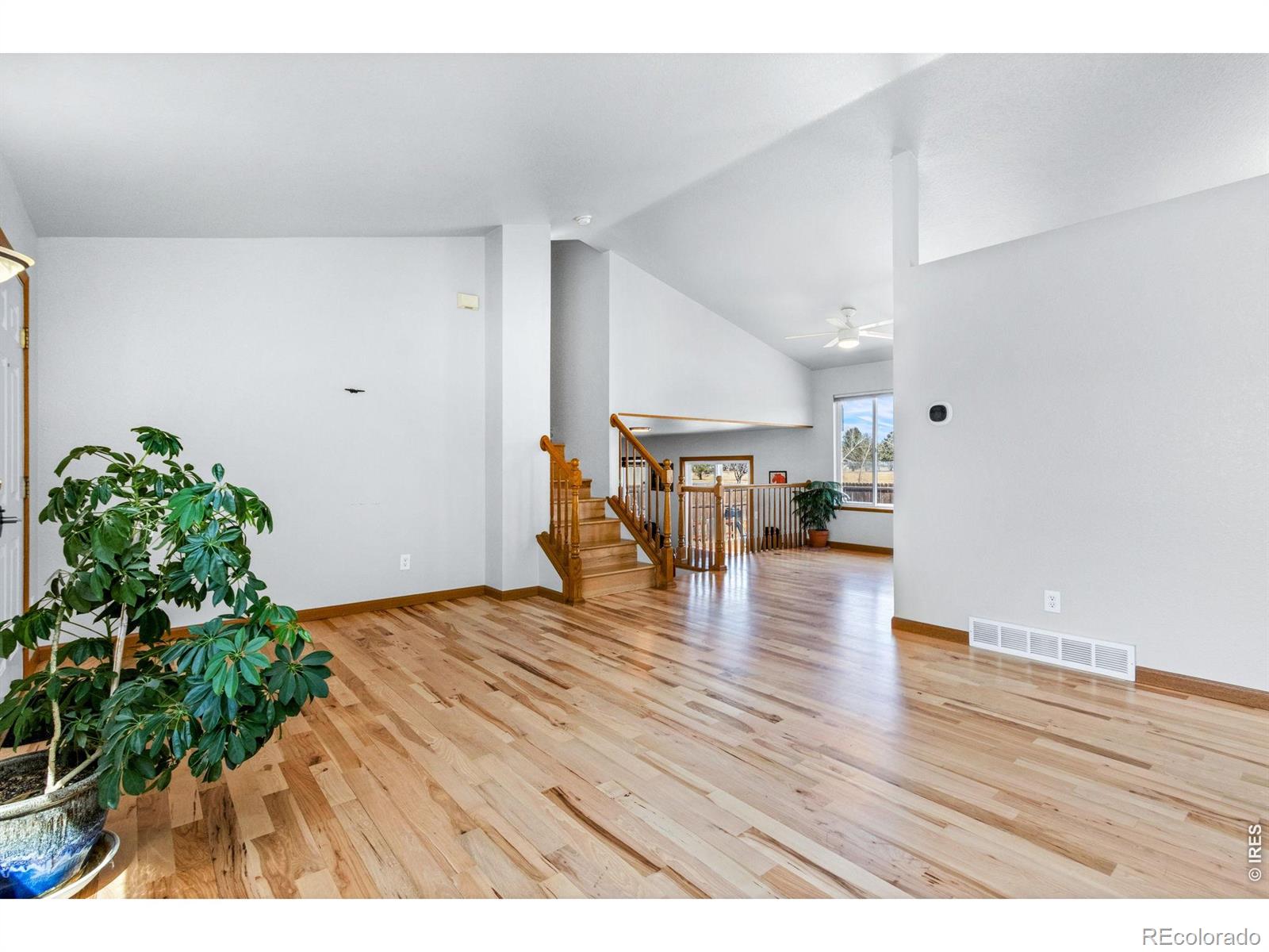 MLS Image #8 for 1414  cranberry court,fort collins, Colorado
