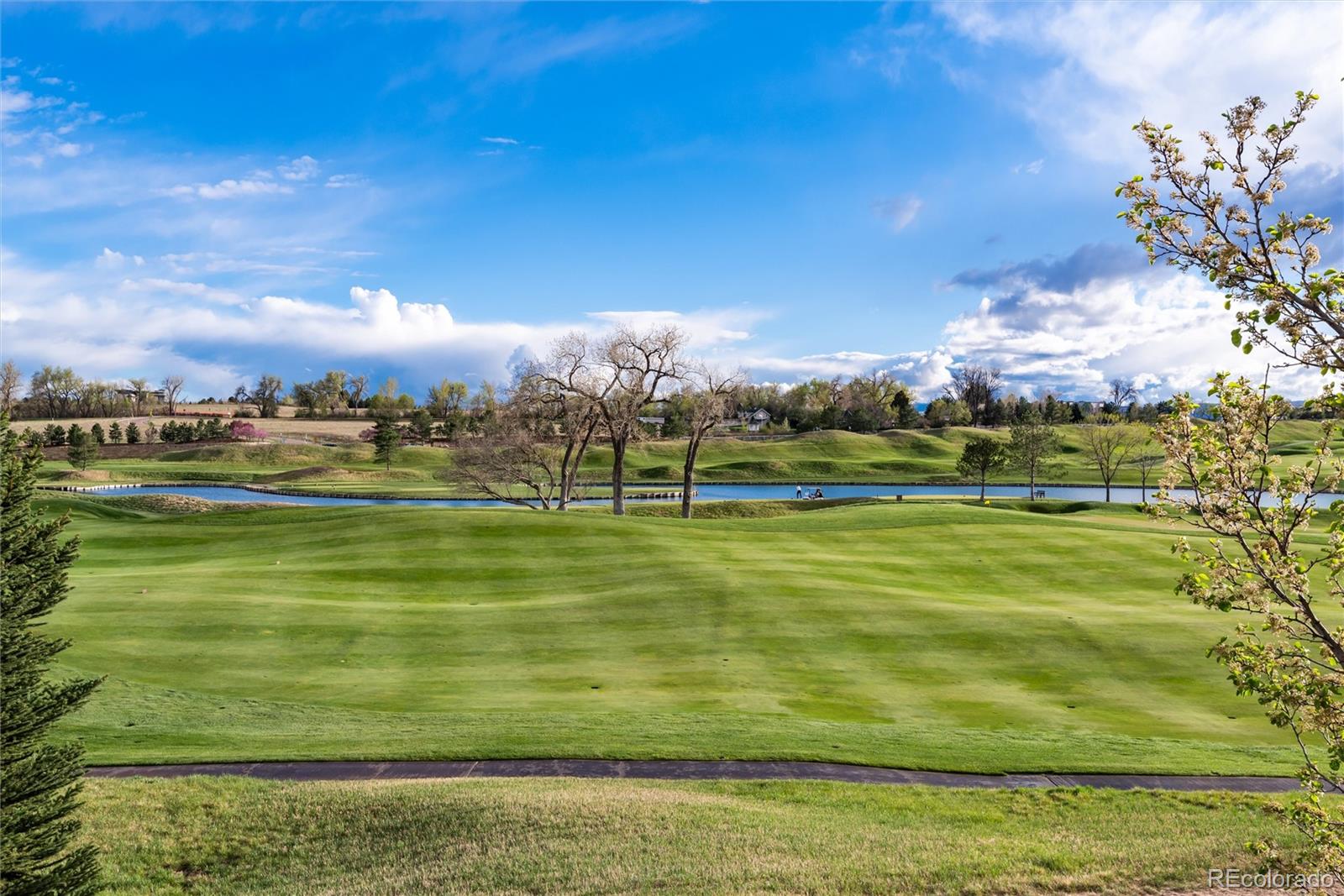 MLS Image #7 for 103  glenmoor lane,cherry hills village, Colorado