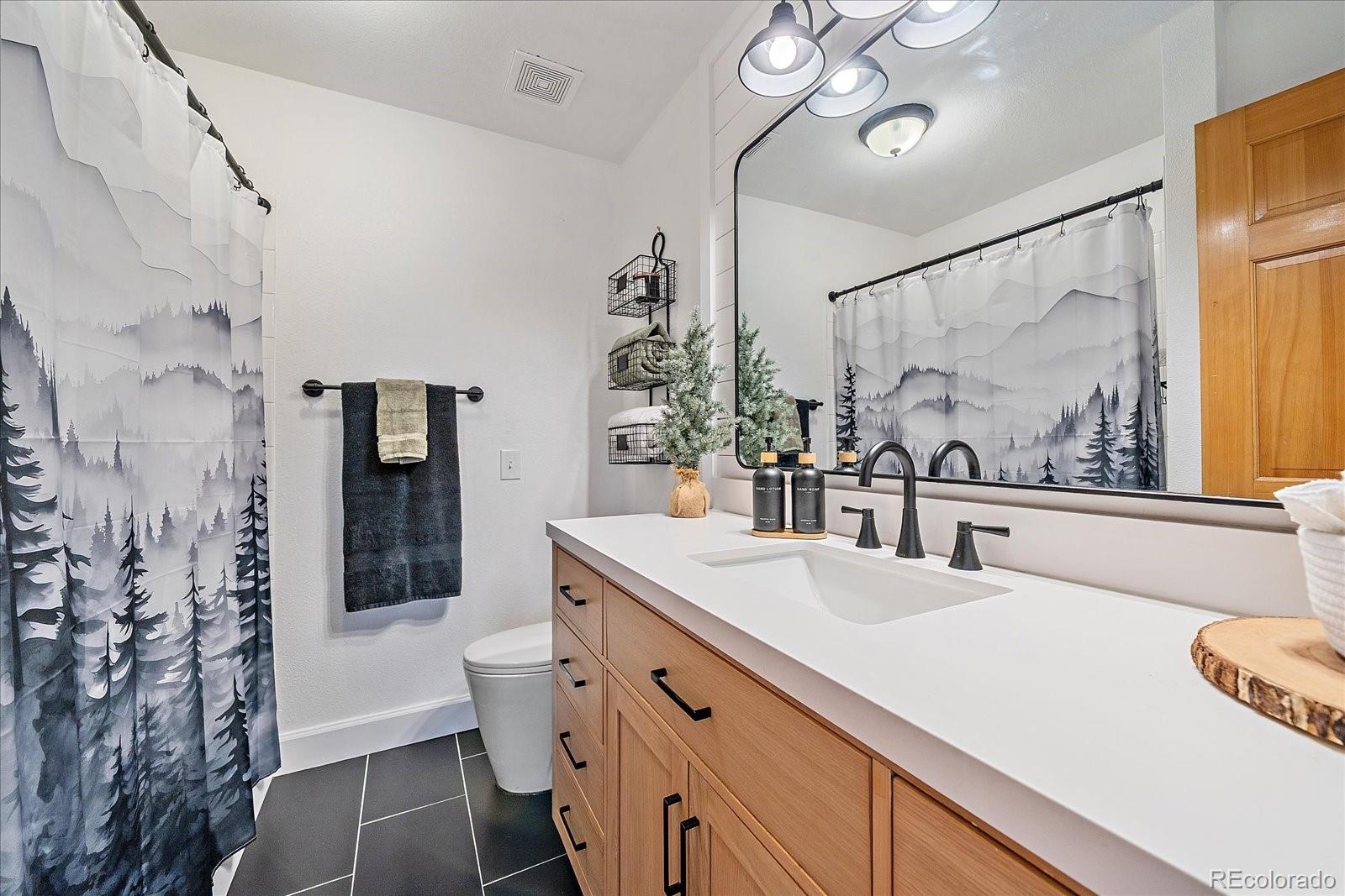 MLS Image #22 for 8406 s custer lane,evergreen, Colorado