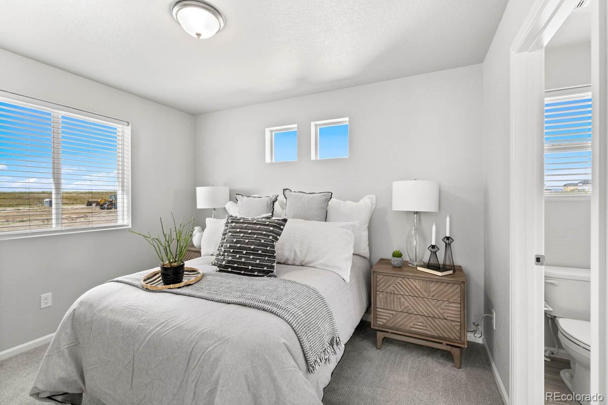 MLS Image #16 for 10158  scranton court,commerce city, Colorado