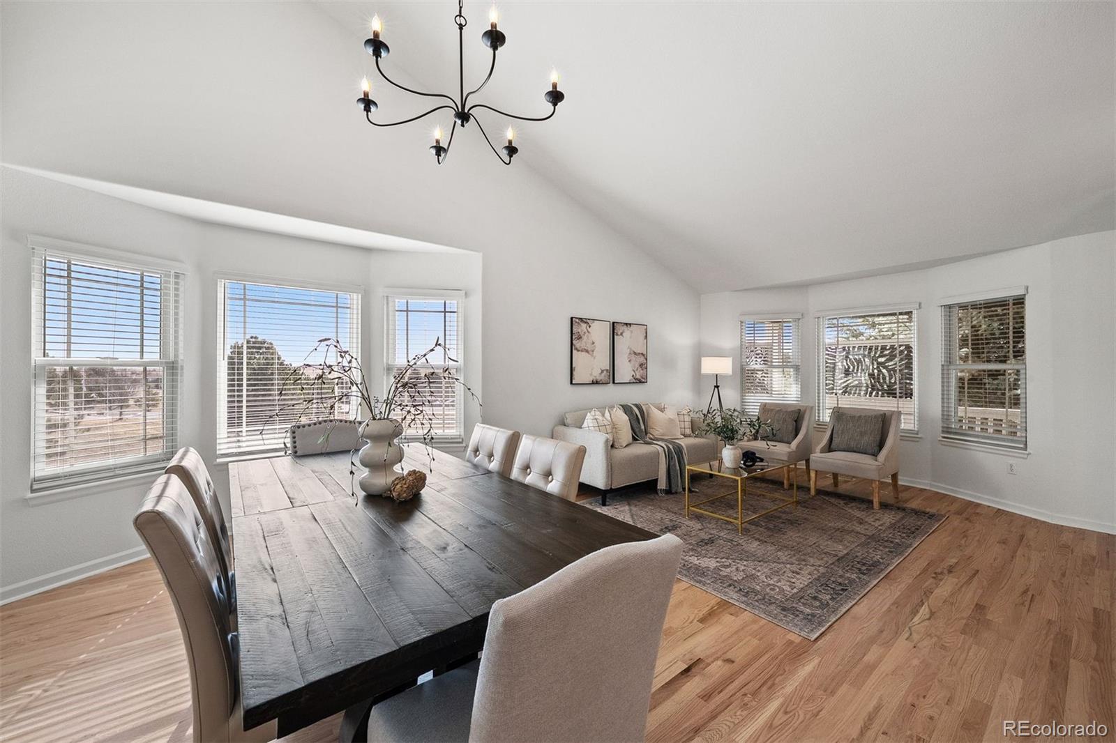 MLS Image #11 for 3529  pine meadow avenue,parker, Colorado