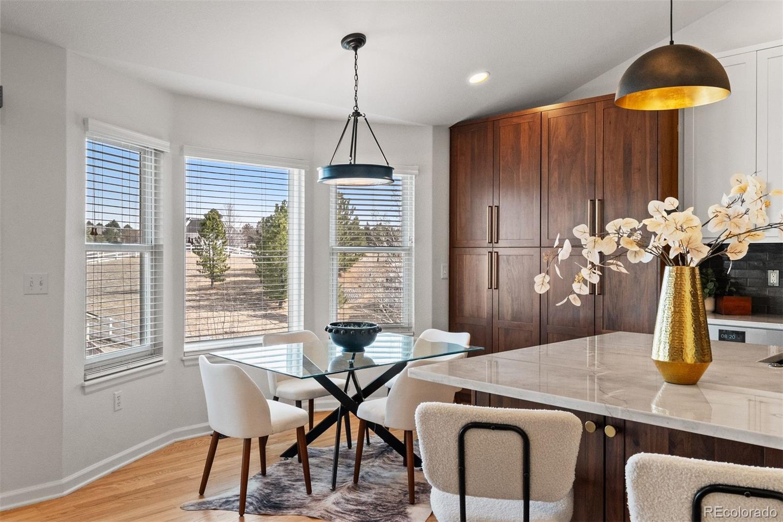 MLS Image #20 for 3529  pine meadow avenue,parker, Colorado